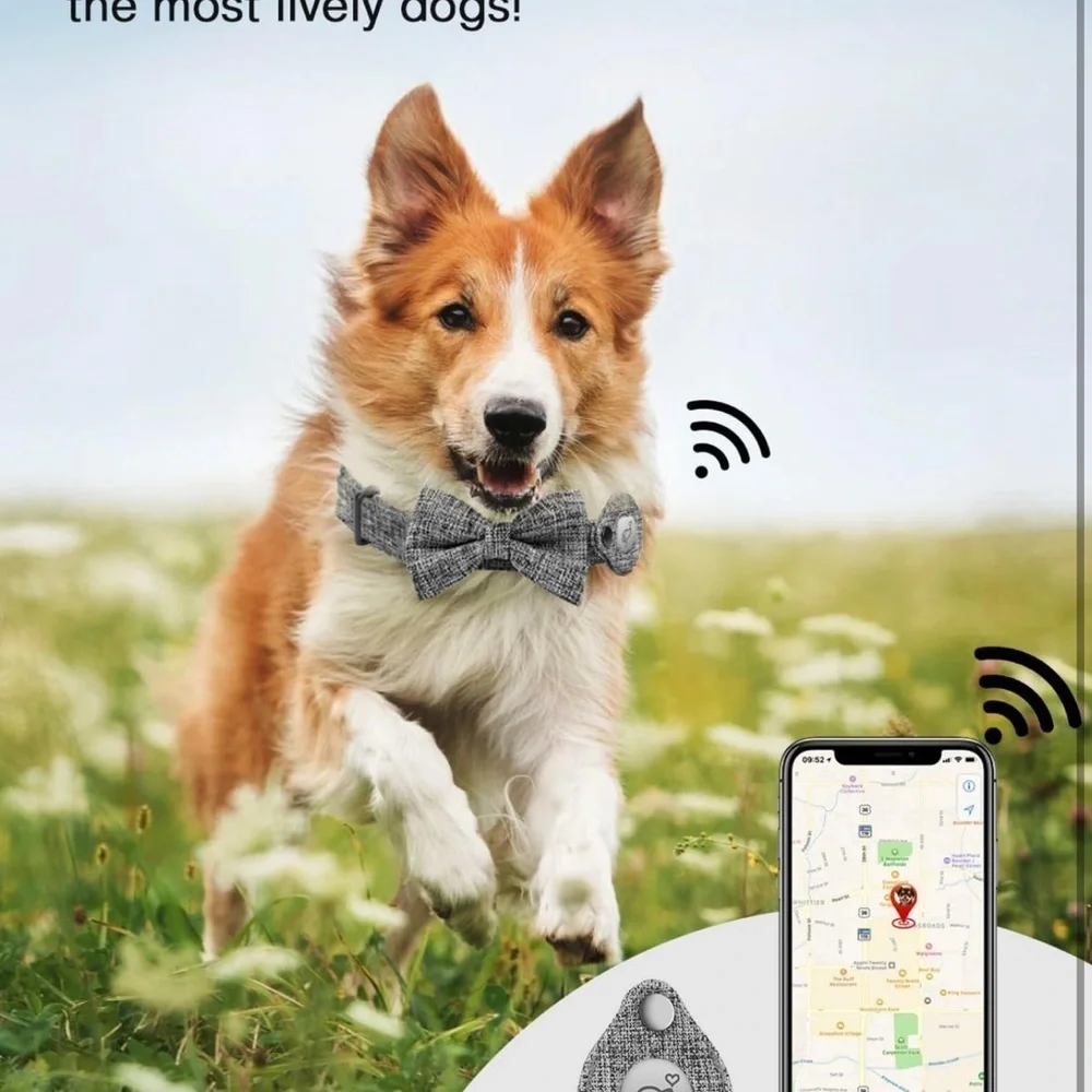 AirTag Dog Collar, Dog Collar for Medium Dogs with Air Tag Holder Case